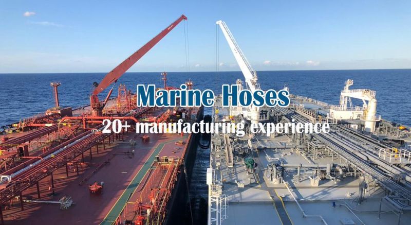 China Factory Directly Supply Marine Oil Hose for Dock/Cargo/STS