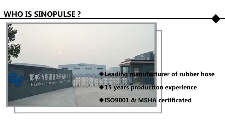 High Quality Chinese Supplier 3/16"-2" Hydraulic Rubber Hose SAE 100 R1at Rubber Hydraulic Hose
