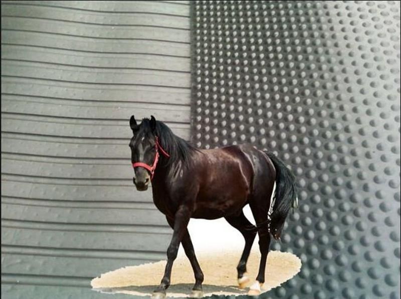 Non Slip Durable Stable Cow Floor Horse Stall Mats
