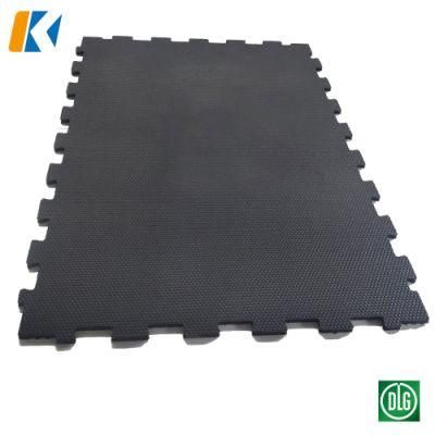 High Quality Preservative Long Service Life Rubber Cow Mat with Dlg