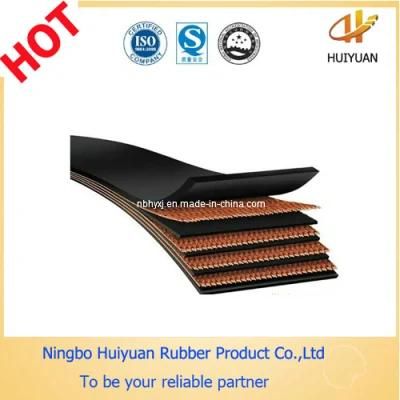 EP Garde Industrial New Rubber Conveyor Belt