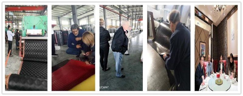 20 mm Thickness Fabric Cloth Nylon Insertion SBR Rubber Sheet