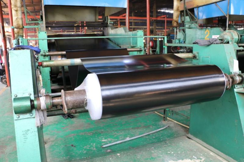 5MPa China Economic CR Rubber Sheets White Rubber Mat with Weather Resistance