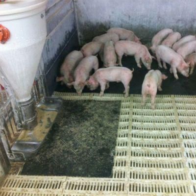 Easy Clean High Quality Cow Horses Mating Rubber Mats for Pigs