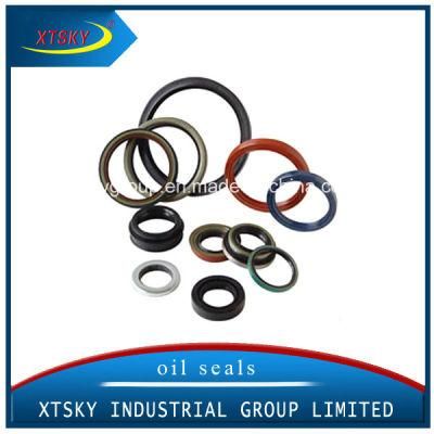 Xtsky High Quality Tc Rubber Oil Seal