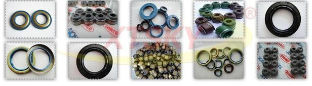 Xtsky Oil Seal for Automatic Gearbox (RG6640P)