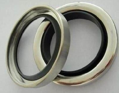 NBR FKM Oil Seals of Tc Type of High Quality