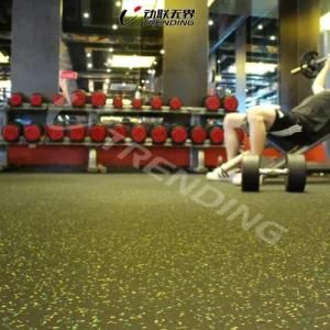 Hot Sale EPDM Rubber Mats Flooring for Gym