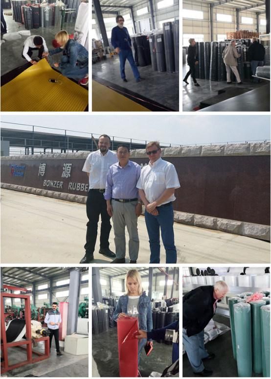 Professional Cloth Metal Mesh Insertion Rubber Sheet/ Mat/ Plate/ Floor