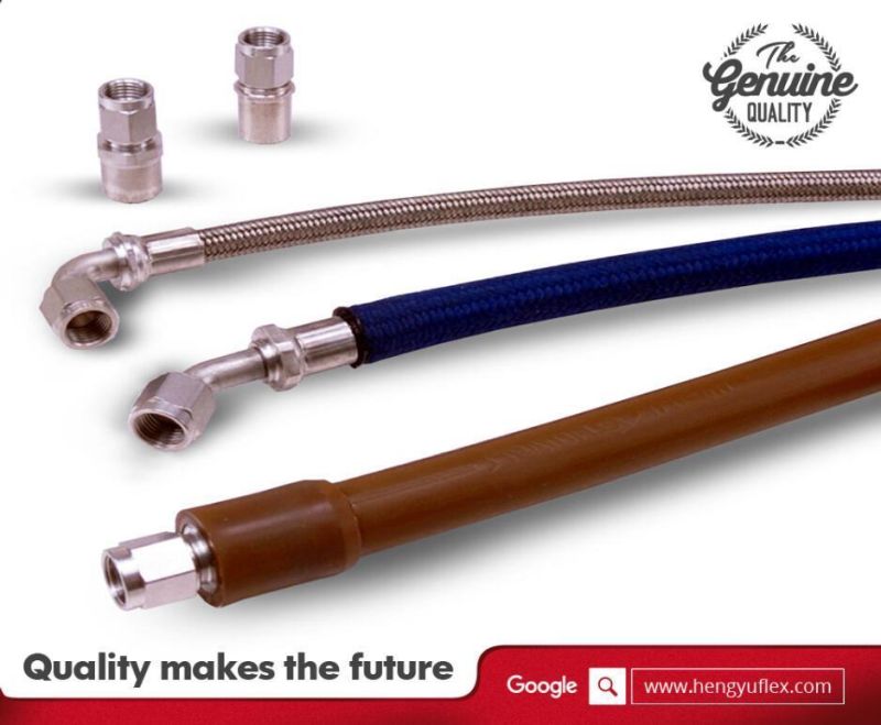 Factory Supply 1 Meter Stainless Steel Wire Braided PTFE Teflon Hose with Flange Joint