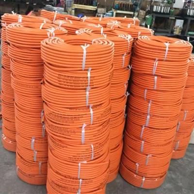 3/8&quot; ID10mm Propane Tank Extension Hose with W. P 20bar