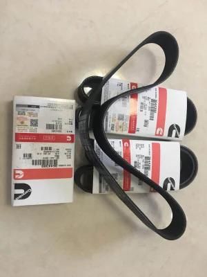 Cummins Engine Part V Ribbed Belt 3639280/3644380