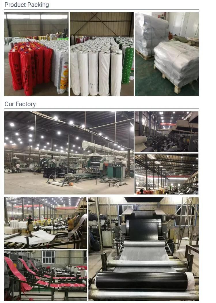 Butyl Rubber Sheet Supplier with Reach Certificate